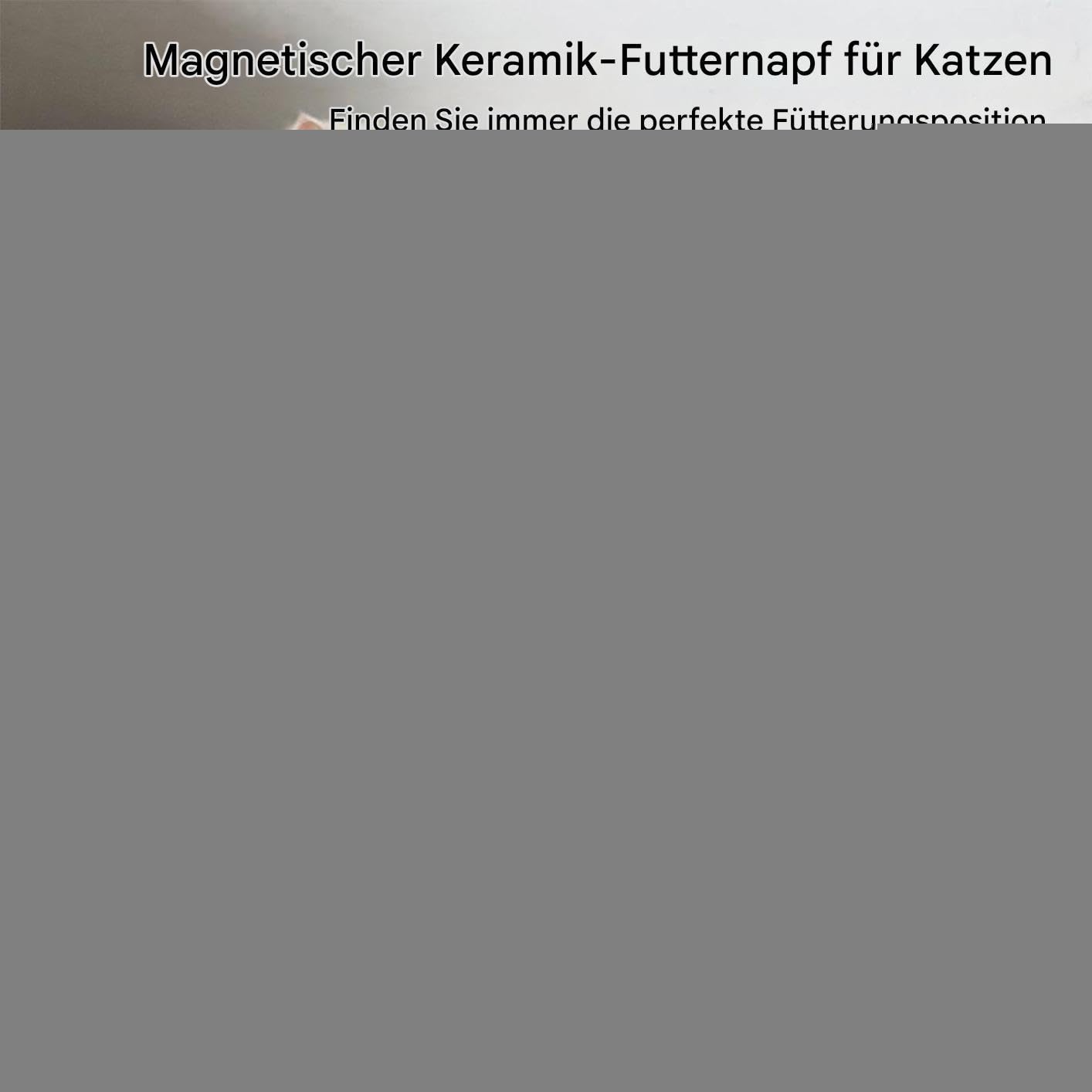 Keramik Katzennapf Geneigte Für Kleine, Mittelgroße Sowie Große Rassen,