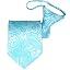 Turquoise Clara Paisley