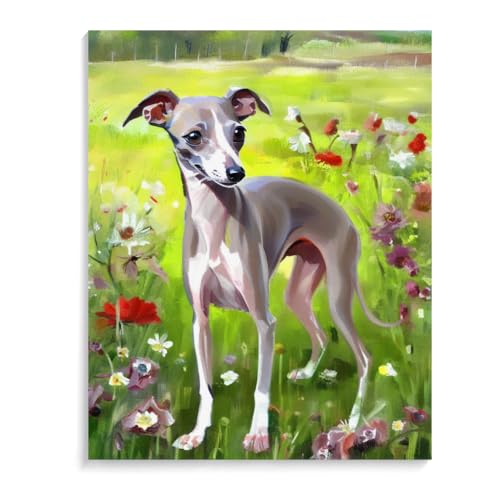 Paint by Numbers Italian Greyhound Dog DIY Acrylic Painting Kit with Brushes Pigment Oil Painting Artwork Adults Beginners Wall Decor 12x16inch(30x40cm) Frameless