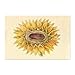 Sunflowers - 12 Blank Note Cards: 12 Blank Cards in 6 Designs with 12 Envelopes in a Keepsake Box