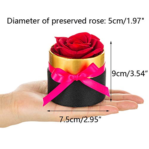 NUPTIO Red Preserved Roses in Mini Sized Flower Box Handmade Real Flowers Eternal Petals, Romantic Gifts for Girlfriend, Mother\'s Day Wedding Birthday Christmas Anniversary - Thumbnail 5