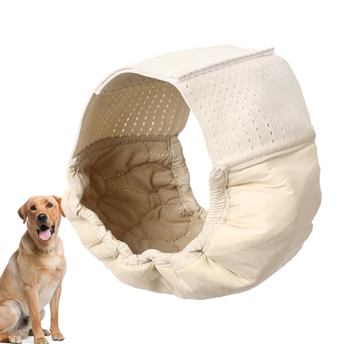 Fraldas para cães masculinos - Fralda de xixi para cachorro,Fraldas para cães de alta absorção para