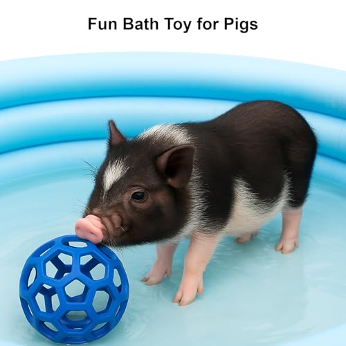 Image of 2Pcs Pig Enrichment Toys, Treat Ball Toy for Mini Pigs and Farm, Hanging Chew Ball Enrichment Toy with Rope for Pigs to Play with