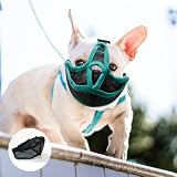 bozal para bulldog frances Método de medición: el método de medición y las dimensiones correspondientes se describen en detalle en las imágenes del bozal de los productos de Bulldog francés. Consulta los datos para elegir el modelo adecuado.