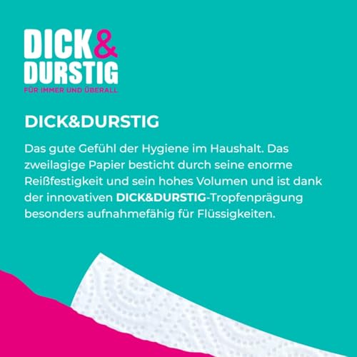 Foto von Hakle Dick & Durstig, 24 Rollen Haushaltstücher, 2-lagig