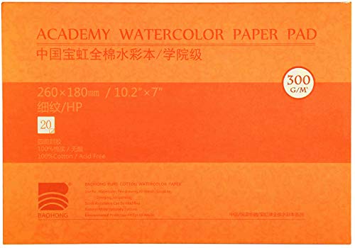Meeden 10X7" Watercolor Pad, 20 Sheets (140Lb/300Gsm), Smooth Surface 100% Cotton Water Color Pad, Hot Press, Acid-Free Paper, Art Sketchbook Pad For Painting & Drawing, Wet, Mixed Media #TOP3