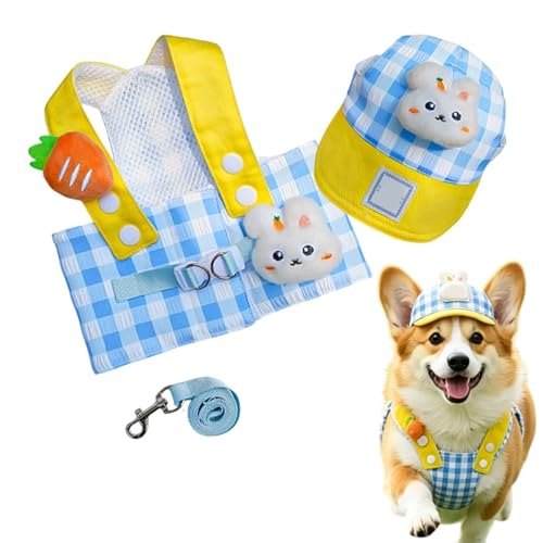 Arnés para perros, ajustable y transpirable, juego de arnés y correa para cachorros, para cachorros de talla pequeña, mediana y grande, pasear al aire libre, compras, correr