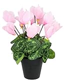Flair Flower