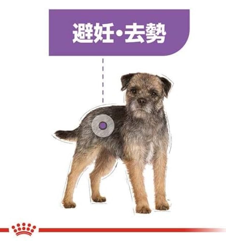 ロイヤルカナンミニステアライズド(避妊去勢犬用)8kg×1. Amazon.co.jp: ロイヤルカナン ミニステアライズド (避妊・去勢