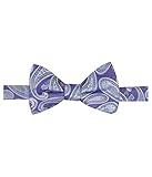 Ryan Seacrest Distinction Men's Bradbury Pine Pre-Tied Bow Tie (One Size, Purple)