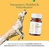 Bau Integratore Articolazioni Cane Anziano, Condroprotettori Cane Anche e Gomiti, Migliora Mobilità e Rinforza le Articolazioni con Condroitina, Glucosamina e Cozza Verde, Compresse per Cani Anziani