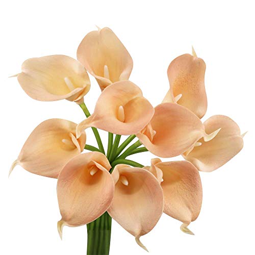 Angel Isabella 10pc Set of Real Touch Calla Lily-Keepsake Artificial Calla Lily with Small Bloom Perfect for DIY Making Corsage,Boutonniere,and Bouquet.(Blush Peach) Angel Isabella 10pc Set of Real Touch Calla Lily-Keepsake Artificial Calla Lily with Small Bloom Perfect for DIY Making Corsage,Boutonniere,and Bouquet.(Blush Peach)
