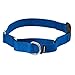 PetSafe Martingale Collar with Quick Snap Buckle, 3/8" Petite, Royal Blue
