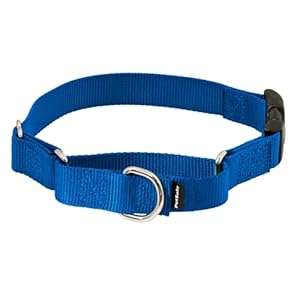 PetSafe Martingale Collar with Quick-Snap Buckle – Adjustable No-Slip Quick Release Dog Collar – Everyday Wear No-Pull Training Aid – 3/4″ Wide – Small – Royal Blue
