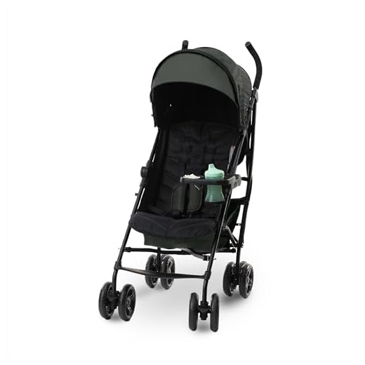Summer Infant Ingenuity 3Dlite Stroller