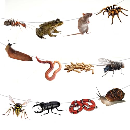 AK Giftshop Creepy Crawlies Halloween Bunting Party Decorations - 12pcs / 2.5m Ribbon