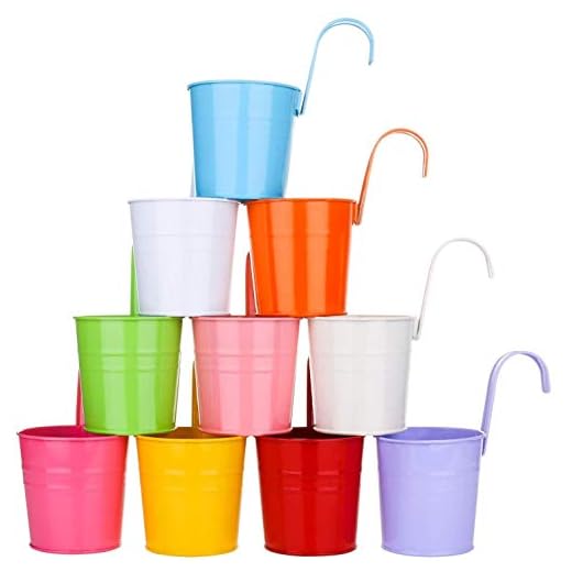 KAHEIGN 10Pz Metallo Vasi Da Fiori Appesi, 10cm Vasi Per Piante Secchiello Per Fiori Da Appendere Con Gancio Staccabile Per La Decorazione Della Casa Del Giardino Del Recinto Del Balcone (10 Colori)