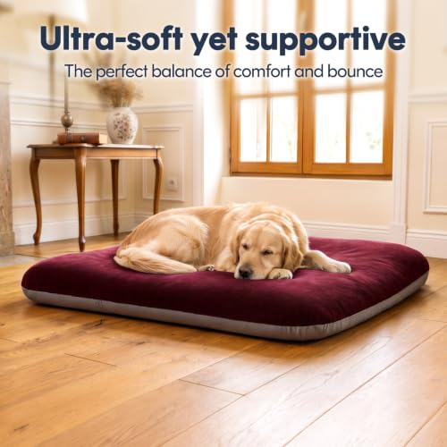 Image of Magic Dog Orthopedic Medium Dog Bed 32 Inch, Super Soft Small Pet Bed