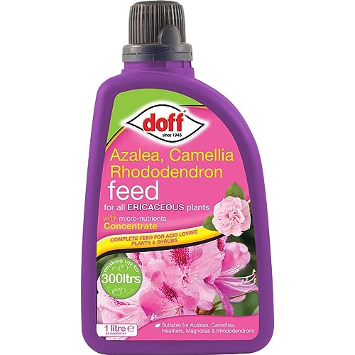 Doff Ericaceous Plant Feed, 1L