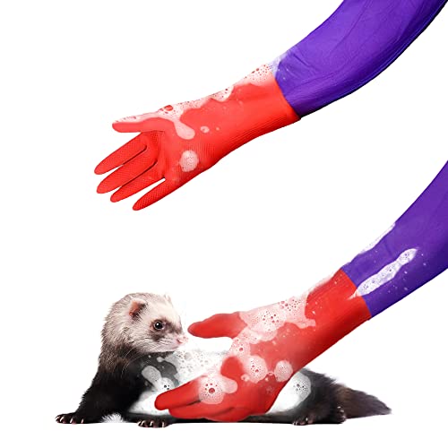 The Best Aquarium Gloves For 2022 BNB