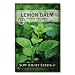 Sow Right Seeds - Lemon Balm Seeds Non-GMO Heirloom Seeds with Full Instructions for Planting an Easy to Grow herb Garden, Indoor or Outdoor; Great Gardening Gift (1)
