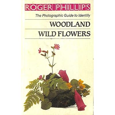 Woodland Wild Flowers