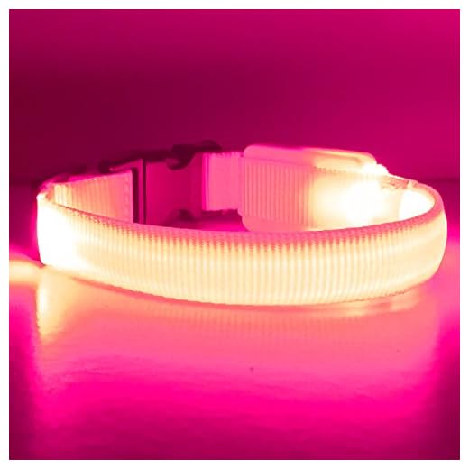 PetSol Ultra Bright Mini LED Krage (Liten (35 cm - 40 cm/13,8 tum - 15,7 tum), Rosa)