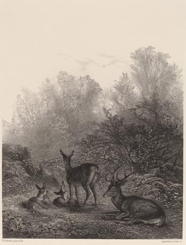 Cuadro decorativo Karl Bodmer lienzo artistico para comedor elegante 60x90