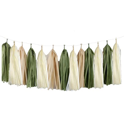 15 Pcs Diy Olive Green Tan Brown Nude Cream Tissue Paper Tassel Garland Party Banner For Eucalyptus Greenery Baby Shower Woodland Jungle Tropical Nature Theme Birthday Wedding Party Decoration #TOP13