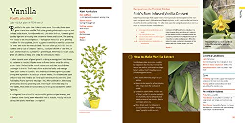 Growing Tasty Tropical Plants in Any Home, Anywhere: (like lemons, limes, citrons, grapefruit, kumquats, sunquats, tahitian oranges, barbados ... black pepper, cinnamon, vanilla, and more...) - Thumbnail 3