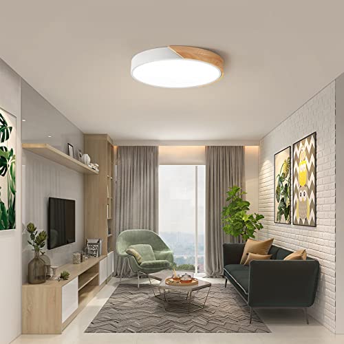 Vikaey Modern Led Ceiling Light, Minimalist Wood Style Flush Mount Ceiling Light Fixture, Circle Lighting Lamp With Acrylic Lampshade For Bedroom Living Room Dining Room Laundry (White, 15.8'') #TOP7