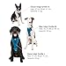 Kurgo TRU-Fit Hundegeschirr, Crash-Test-erprobtes Auto-Sicherheitsgurt, Für Hunde von 2 bis 5 kg, Größe M, Tinte Blau