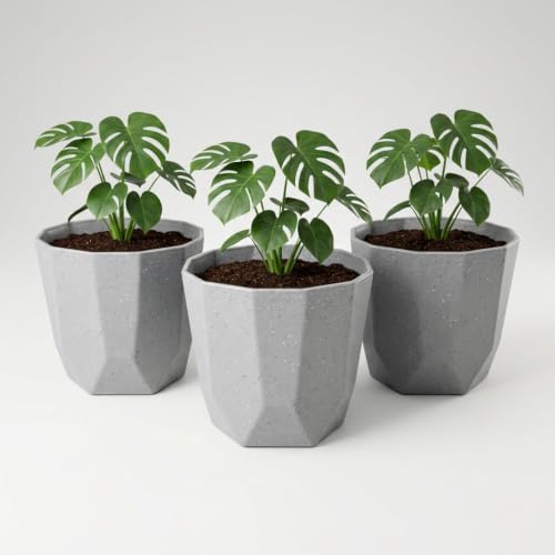 Image of YUCCABE ITALIA SHERA Hexa Plastic Planter Pot for Plants Decorative Flower Pot UV Protected Lightweight Indoor Outdoor Gamla for Home Decor, Balcony, Garden & Living Room (Stone Grey, 8 INCH - 3 Pcs)
