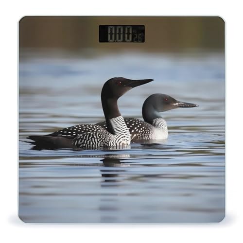 Balanza digital de baño Loon Birds con sensores precisos miniatura 1