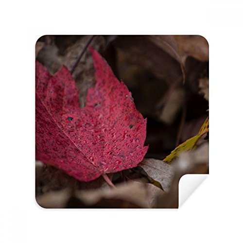 Chiffon microfibre Simpol lot de 2 essuie-lunettes motif feuille d'érable rouge en daim doux