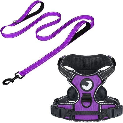 6FT Double Handle Dog Leash for Training and Dog Harness (Chest: 14-28"), Reflective Leashes for Medium Dogs and Adjustable Soft No Pull Harness (Purple,M)