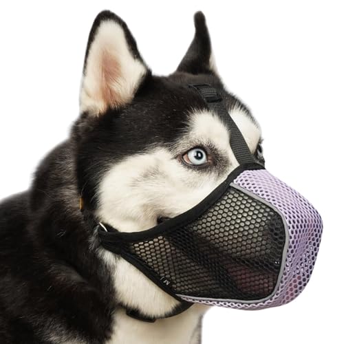 10 Best Muzzle To Stop Dog Eating Poop