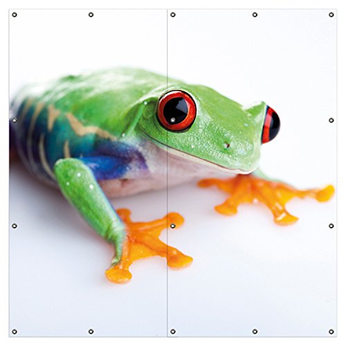 Wallario XXL Outdoor-Poster für Garten oder Balkon Lustiger Frosch in...