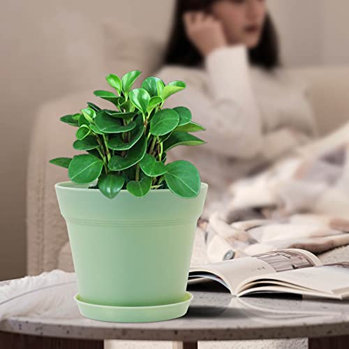 The 30 Best Plastic Planters of 2024 [Verified] Cherry Picks