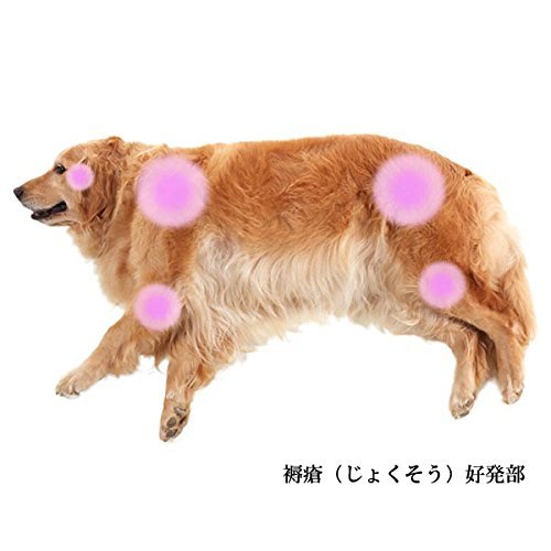 Amazon | アルテア体圧分散マット ピンク S 犬 介護 寝たきり 床ずれ