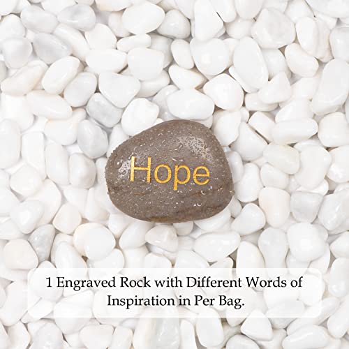 Ausluru 5Lbs Natural River Rocks Polished Pebbles For Plants Garden Decorative Stones, Ideal For Fish Tank, Vases, Succulents, Crafting, Home Decor And Garden Landscaping, Mini White #TOP2