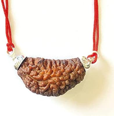 GenericRealStone Kaju Dana Rudraksha Nepali Ek Mukhi Rudraksha Original Certified Eka Mukhi Rudraksha Pure One Face Rudraksha with Silver Capping Aka Mukha Rudraksha Shiva Rudraksha 1 मुखी रुद्राक्ष ओरिजिनल