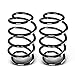 A-Premium 2Pcs Rear Suspension Coil Spring Set Compatible with Jeep Grand Cherokee 2005 2006 2007 2008 2009 3.0L 3.7L 4.7L, Driver and Passenger Side, Replace# 52089249AC, 52089818AD