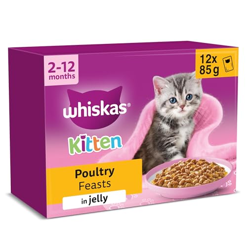 Whiskas Junior Poultry Selection in Jelly 48 x 85 g Pouches, Kitten Cat Food, Pack of 4 (12 x 85 g)