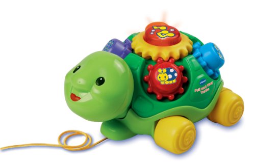 Preisvergleich Produktbild VTech Baby Pull und Play Schildkröte