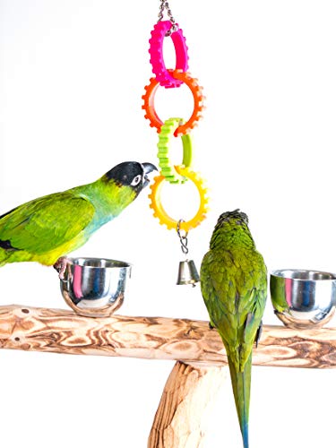 Penn-Plax Multicolored Gear Rings Bird Toy With Metal Bell – Great For Parakeets, Cockatiels, Lovebirds, Parrotlets, Conures, And Other Small To Medium Birds #TOP1