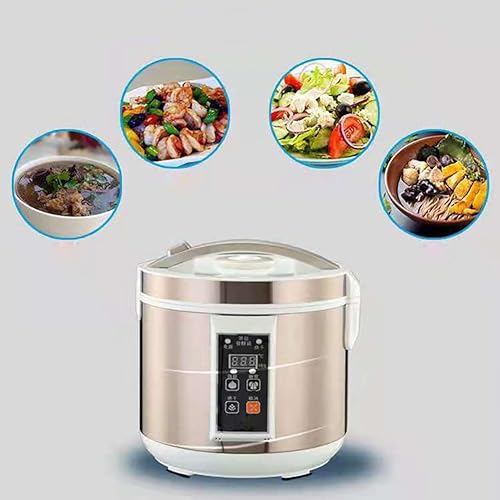 Fermenteur d'ail pour réussir facilement l'ail noir et le kimchi maison 5L - 6