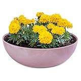 matches21 HOME & HOBBY