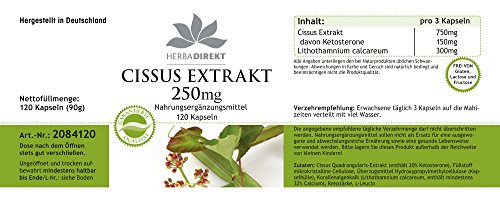 Cissus quadrangularis Kapseln 250mg – 120 vegane Kapseln