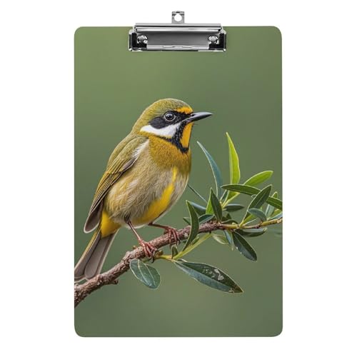 Porte-bloc en acrylique oiseaux vert olive format A4 standard pour bureau